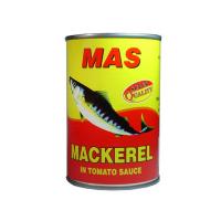 Canned mackerel manufacturer